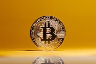 现在屎币现在多少钱一个币？秋田币价格今日行情价格